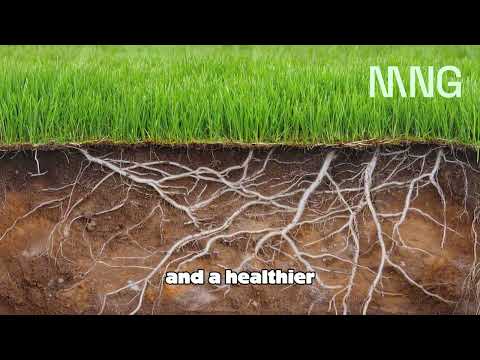 Professional Landscape & Turf Nutrition System | MNG