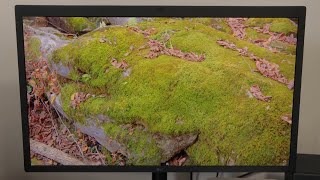 Video thumbnail for LG 27 Inch UltraFine 5K IPS Monitor Review - Worth it in 2024 & better than an Apple Studio Display? by Love What You Do