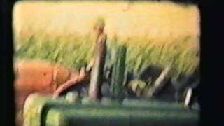 Chopping Corn Silage in the 1950&#39;s