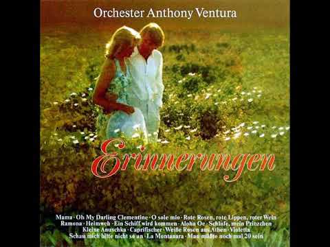 ORCHESTER ANTHONY VENTURA - ERINNERUNGEN [LP]