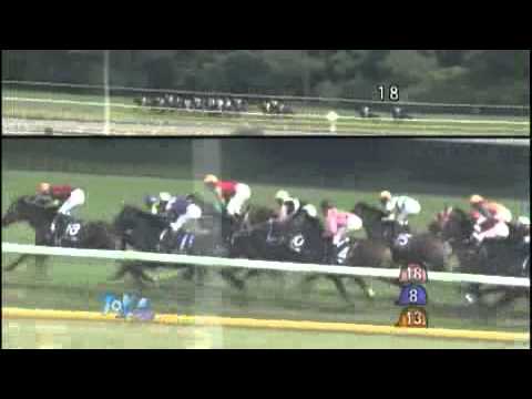 2010/06/06　ショウワモダン　第60回 安田記念（GI）