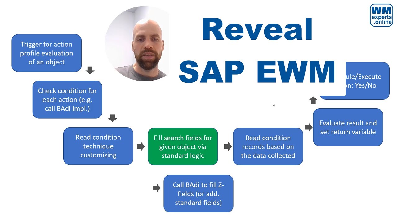 Reveal SAP EWM - Condition record determination for schedule & start conditions of PPF actions