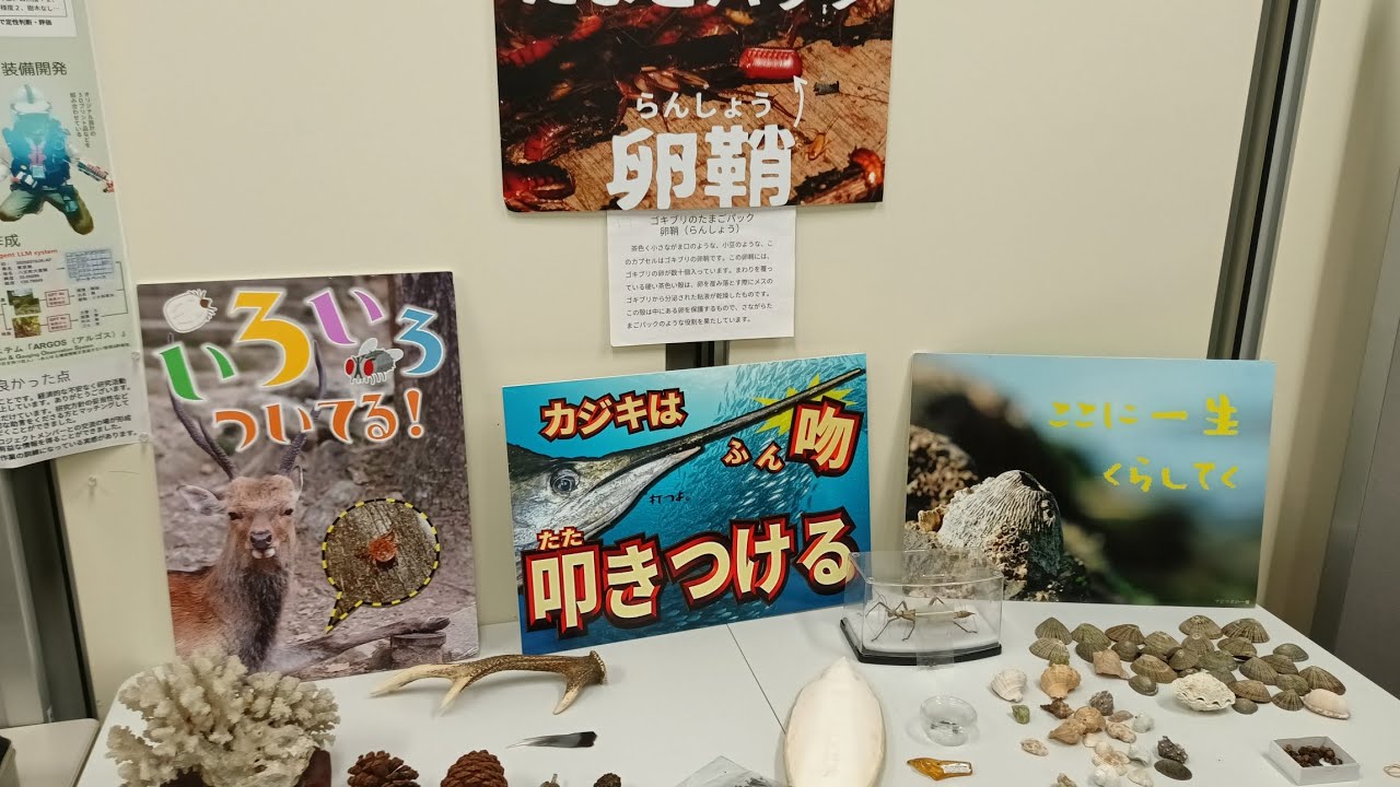 都立大いきもの園2025 うｐ主の担当展示