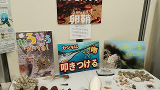 都立大いきもの園2025 うｐ主の担当展示