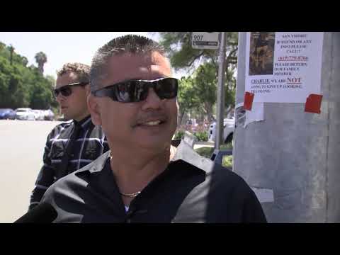 San Ysidro McDonald's Massacre — 35 Years Later