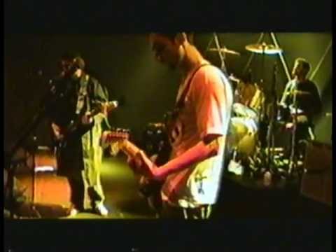 SUBVIVENTES - O Que Eles Dizem?