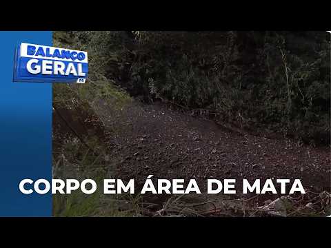 Corpo é encontrado em área de mata em Sarandi, no PR; polícia apura caso