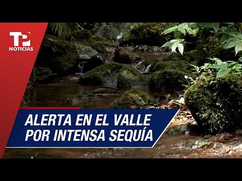 Alerta por sequía en el Valle del Cauca: bajo caudal en los ríos