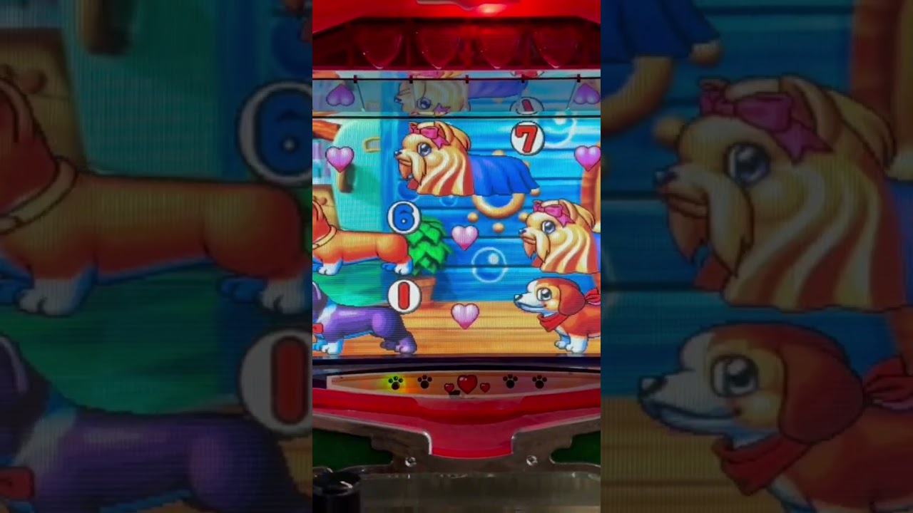 Shorts プリティーわんわん