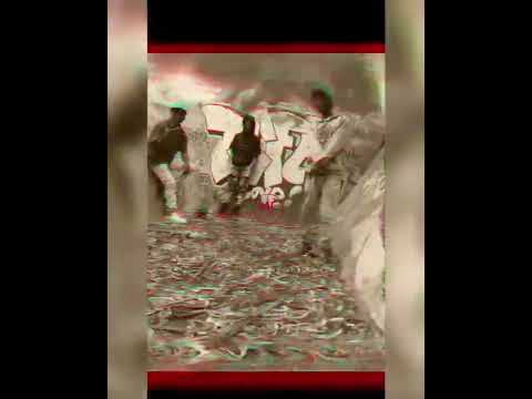 COLINAS CITY - MF (Mala familia Rc)