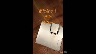 デロンギ マグニフィカS5年使うと出なくなる説と取扱説明書には無い掃除方法