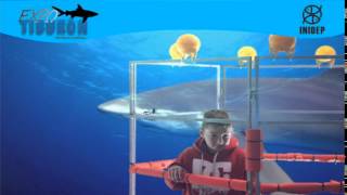 DIA 2 Expo Tiburon12