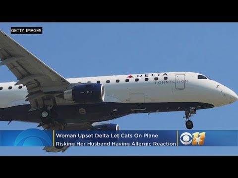 Woman Claims Delta Chose Cats Over Husband's Allergy