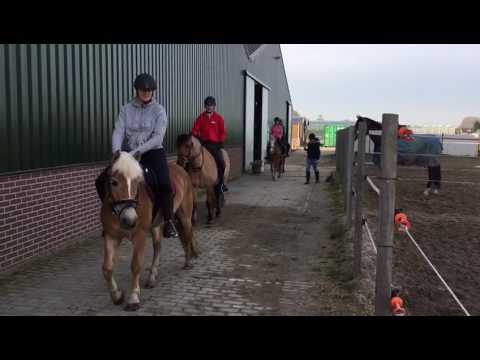 WhatsApp Video 2017 03 12 at 11 00 47