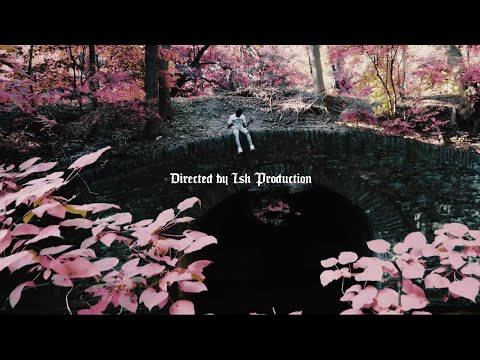 Reemoo - In My Dreams (Official Video) Shot By @ishproduction