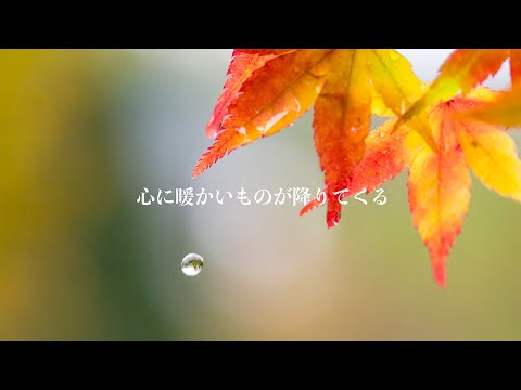 EyeEm はあなたの最高の写真を知っています