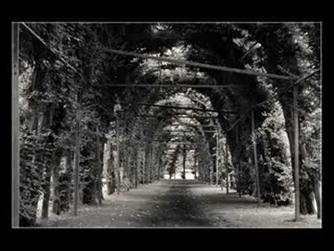 Emily Loizeau - Sur la Route