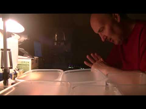 MongoTV_8829 - KIGGER PÅ GAMER PC HARDWARE - Del 155 - Vil Gerne Kigge På Min CPU Samling