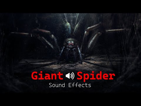 Giant Spider Sound effects