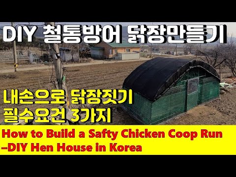 , title : '닭장만들기 필수요건 3가지, 내손으로 철통방어 안전한 닭장짓기-유해동물로부터 닭을 보호하는 방법, How to Build a Chicken Coop Run,DIY Hen House'