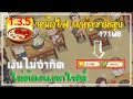 เพรช99999เงิน99999