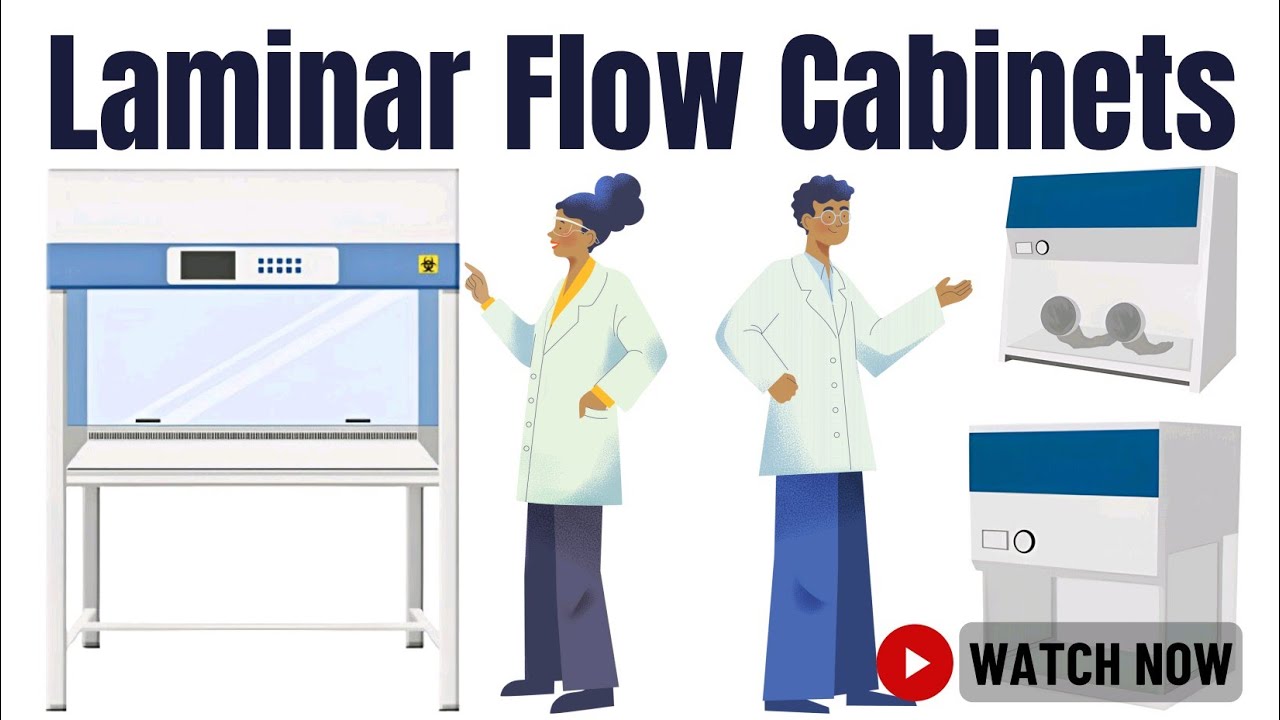 Laminar Flow Hoods: How They Work, Components, Types, and Safety | A Step-by-Step Breakdown