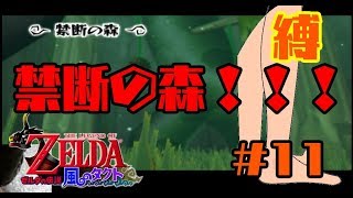 【縛りプレイ】足だけでクリアする/ゼルダの伝説 風のタクト【実況】Part11/きんだんのもり