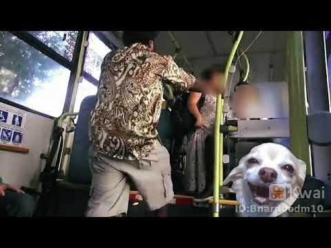 Ze pequeno ataca novamente kkk