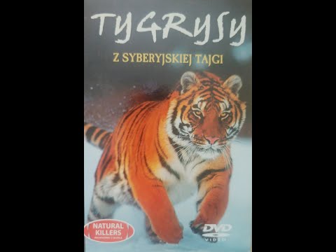 Natural Killers. Tygrys z syberyjskiej tajgi
