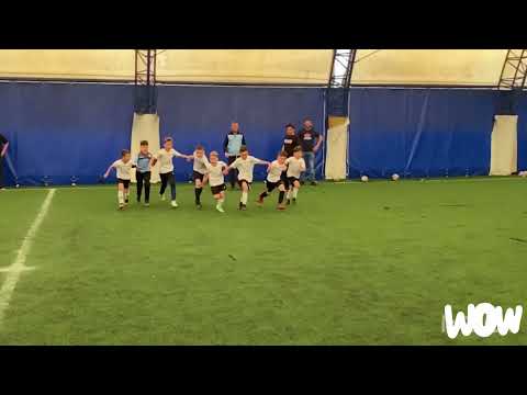 Fc Voluntari grupa 2015