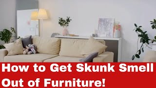 How to Get Skunk Smell Out of Furniture - A Step-by-Step Guide