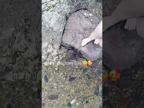 parque das palmeiras 🌴 brejo lagarto Sergipe
