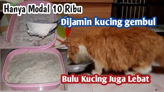 Download lagu Fat auto cat | How to make cat food so that it gets fat quickly and has thick fur mp3