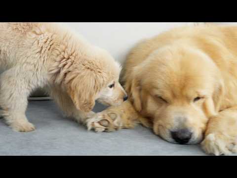 YouTube 썸네일