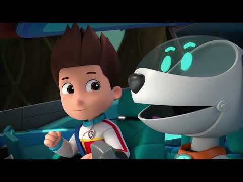 PAW Patrol | Die PAW Patrol gegen die Gepardin! | Nick Jr. Deutschland