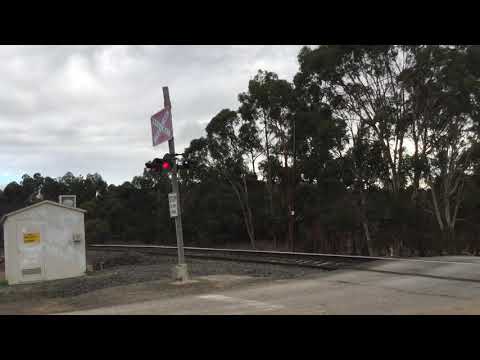 Pacific national departing the country