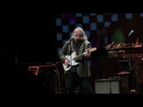 Nuggets 50th Wild Honey - "Lies" (The Knickerbockers) - Peter Case