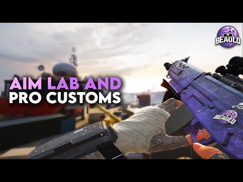 Aim Lab & Pro Customs/FPL (Stream #80) - Rainbow Six Siege