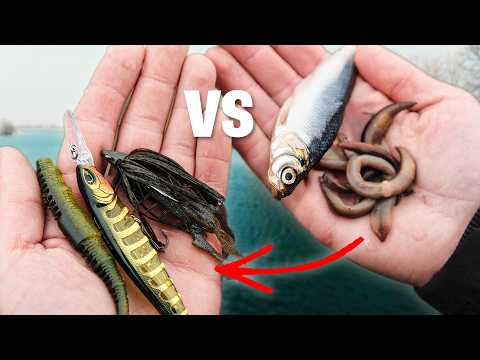 Which bait REALLY catches better? We wouldn't have expected that.