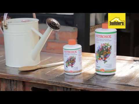 download lagu mp3 mp4 Nitrosol, download lagu Nitrosol gratis, unduh video klip Nitrosol