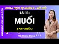 Khoa học tự nhiên 8 Bài 11: Muối - Kết nối tri thức