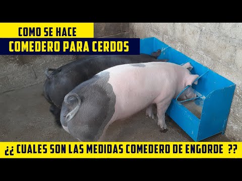 , title : 'Comedero Para Cerdos Como Hacerlo Y Cuales son las Medidas Comedero de Engorde de puercos con Lamina'