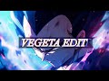 Vegeta Strength Is The Only Thing That Matters
