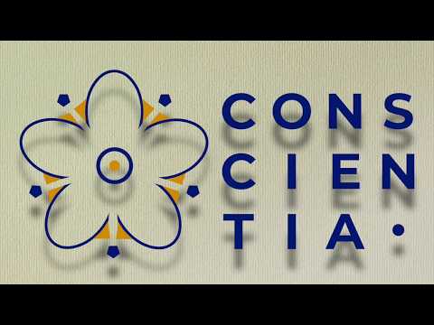 LA MIRADA INTERIOR - Marian van de Wal