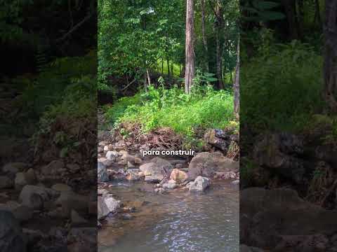 Terreno para Construcción en Sardina, Coclé, Panamá | $19,900 — La Pintada #realestate