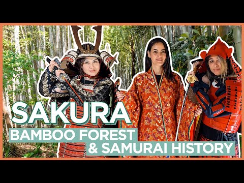 櫻花竹林（日出坂坡）和武士歷史 (Bamboo Forest of Sakura (Hiyodorizaka Slope) and Samurai History)