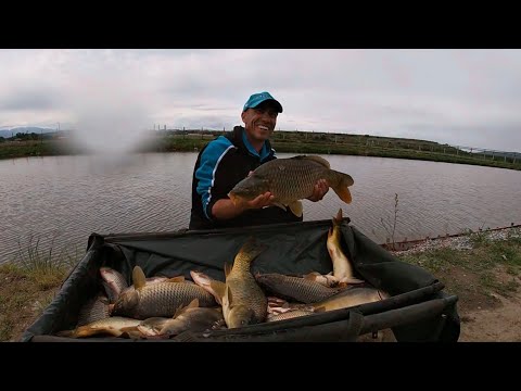 Balta Stuparei Rm. Valcea