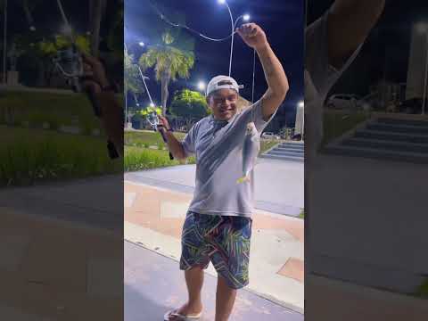 pescaria em Barcarena para 🎣🐟🙌🥰🫵