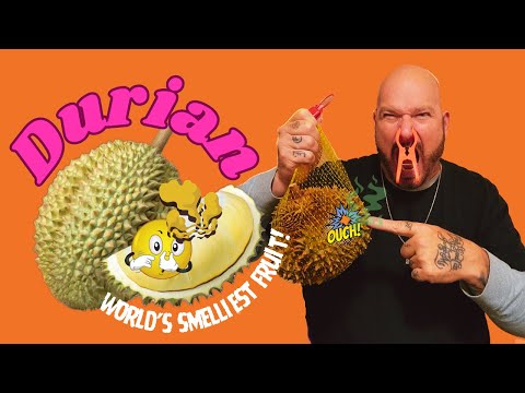 Durian: The Fruit That Tastes Like Heaven, Smells Like Hell
