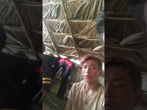 ေဟးအိုးစင္ပရာအယ္ခီႏူ